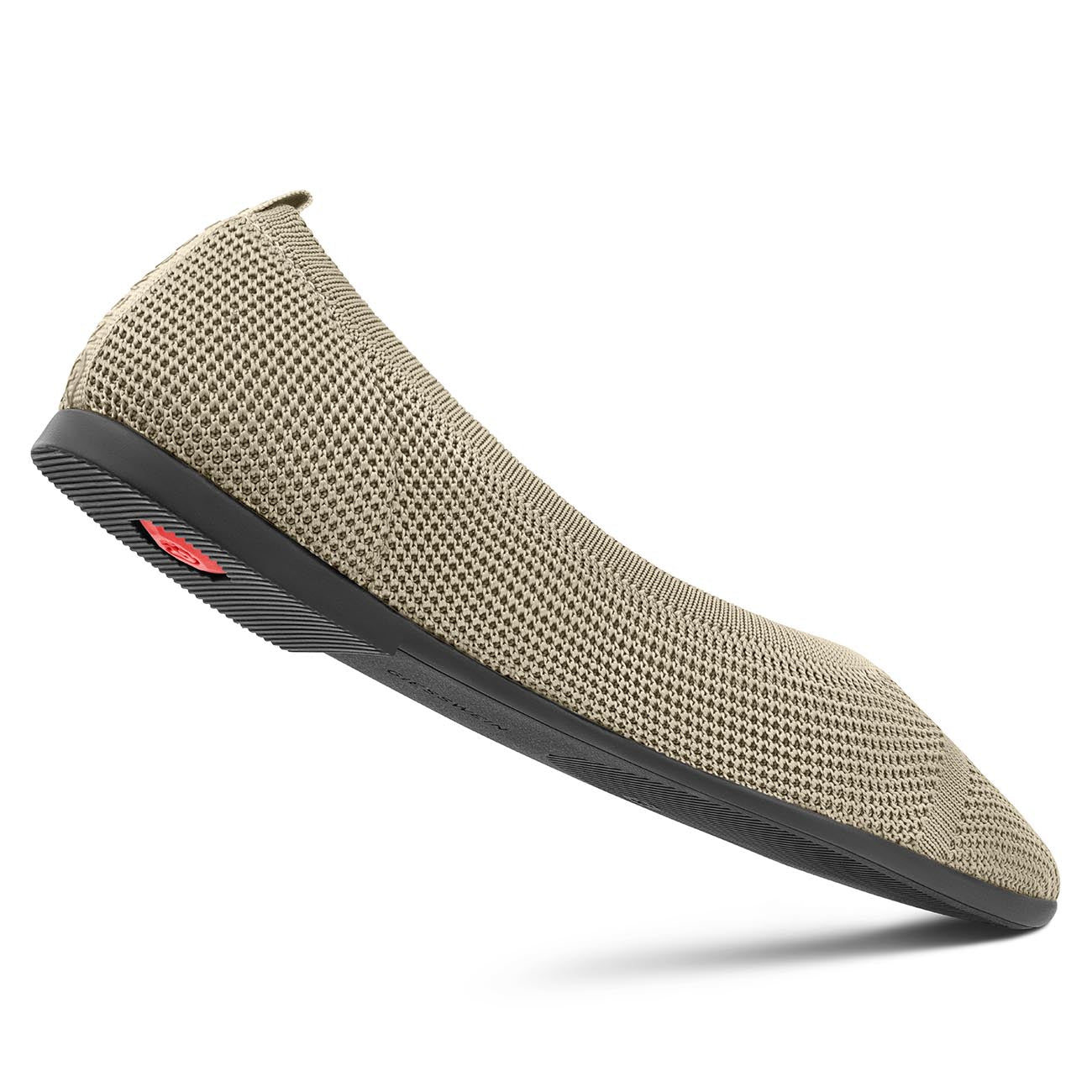 Eco Ballerinas Pointy 2.0