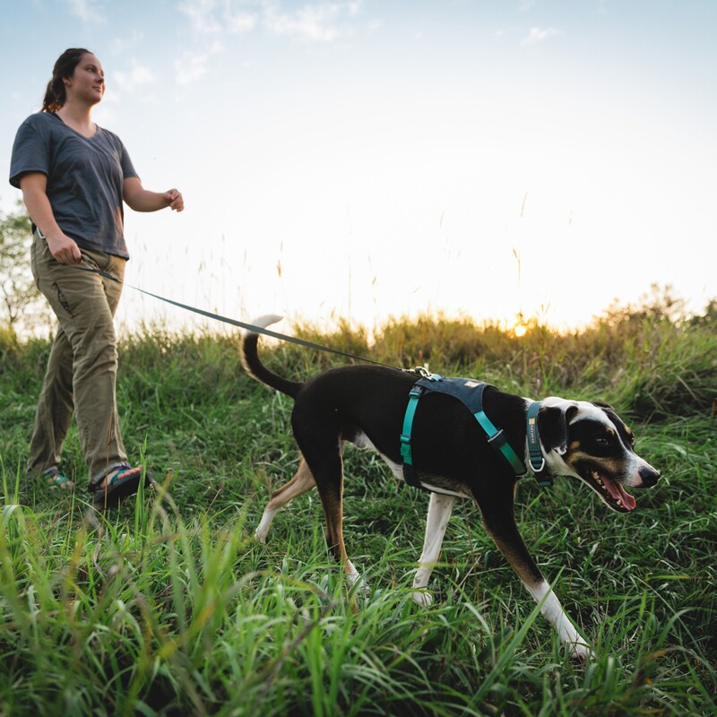Ruffwear Hundegeschirr Hi & Light™ Harness