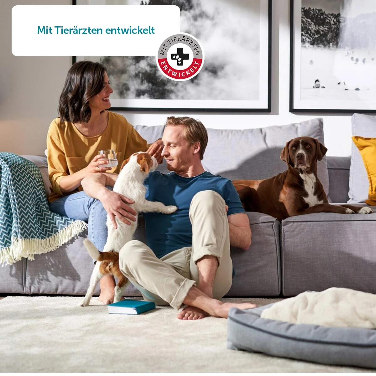 ZooRoyal Classic Menü Mixpaket 1 günstig kaufen