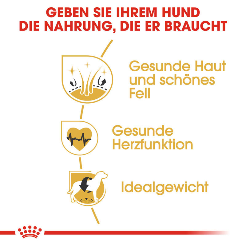 ROYAL CANIN Hundetrockenfutter ROYAL CANIN Golden Retriever Adult 2x12 kg