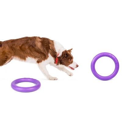 Ferplast Hundespielzeug Puller