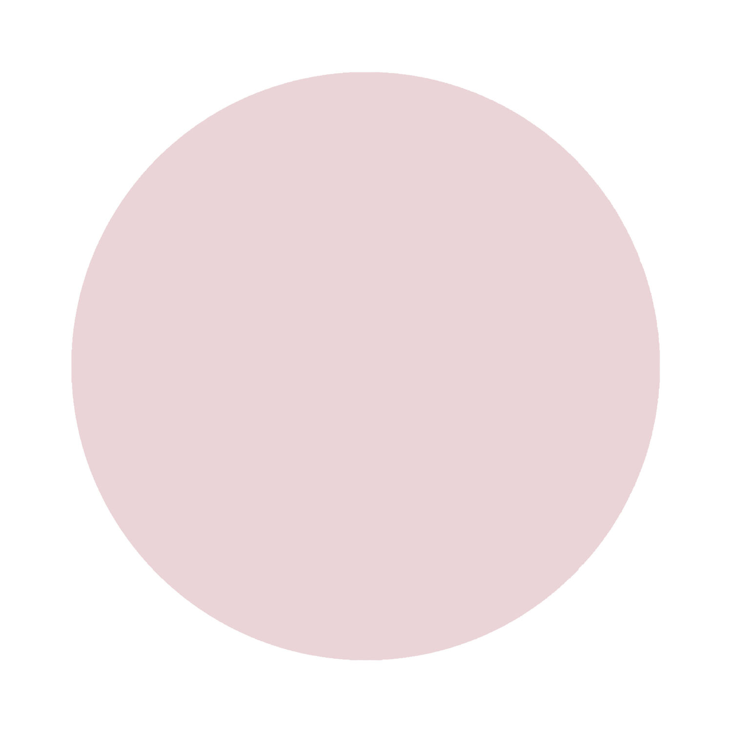 Alessandro Striplac Peel or Soak 486 French Rosè