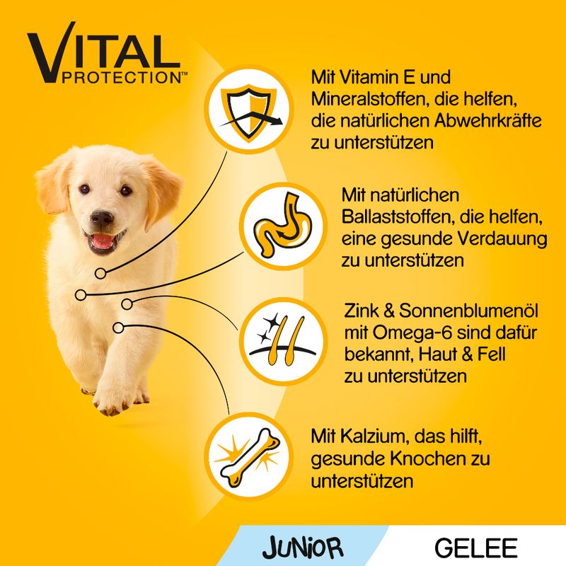 Pedigree Junior Frischebeutel Multipack