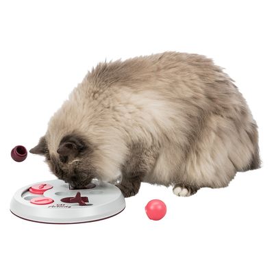 Trixie Cat Activity Flip Board