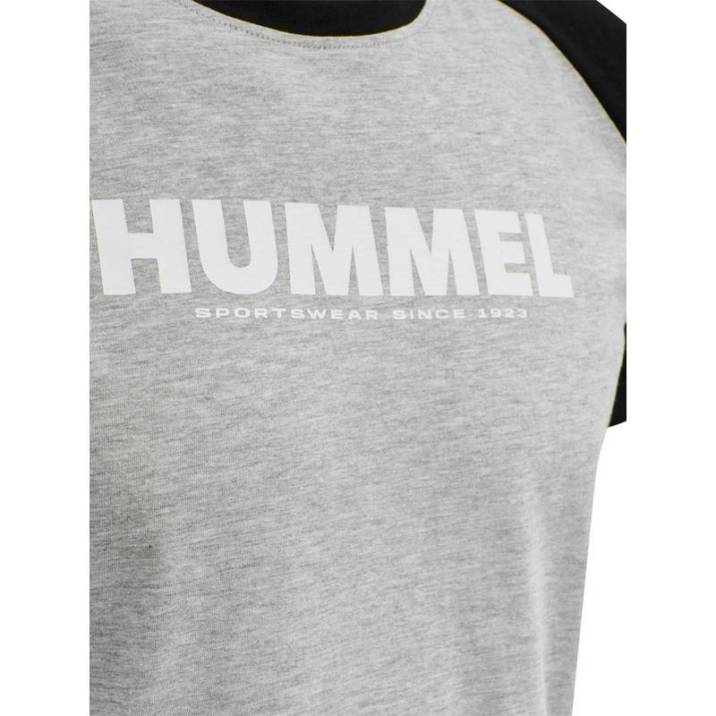 hummel hmlLEGACY BLOCKED T-SHIRT T-Shirt