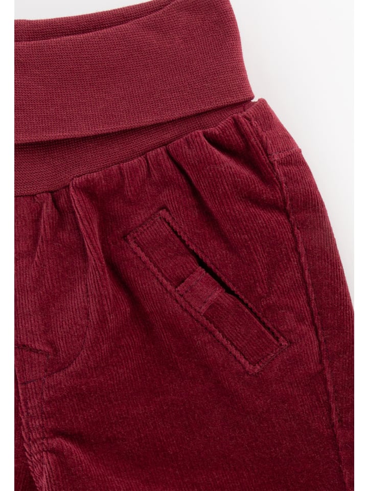 Sigikid Cordhose pink cockatoo in rot günstig kaufen
