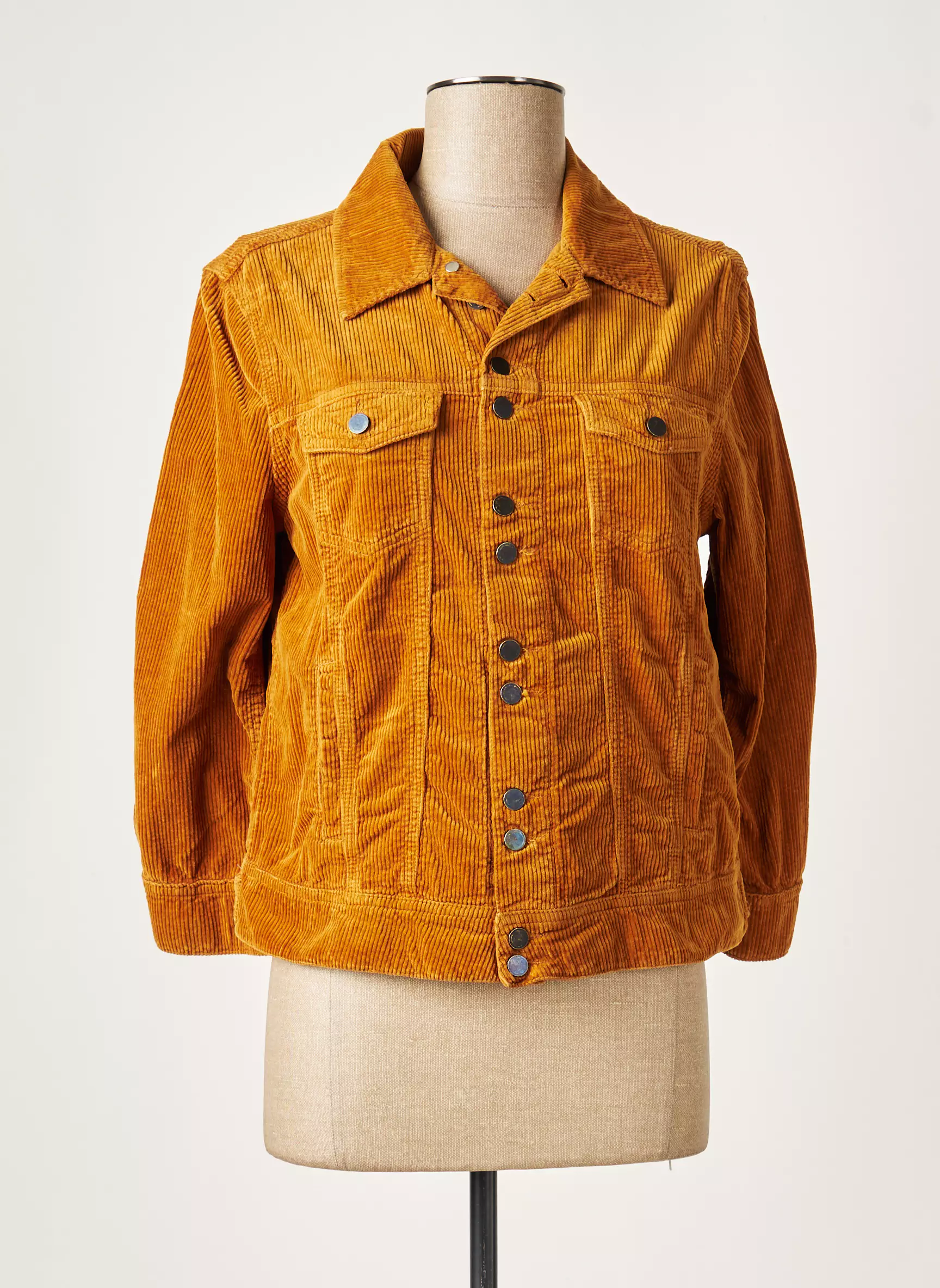 Acquaverde Vestecasual Femme couleur marron