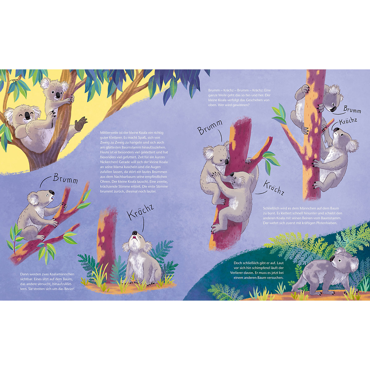 Der kleine Koala - Zu Hause im Eukalyptus