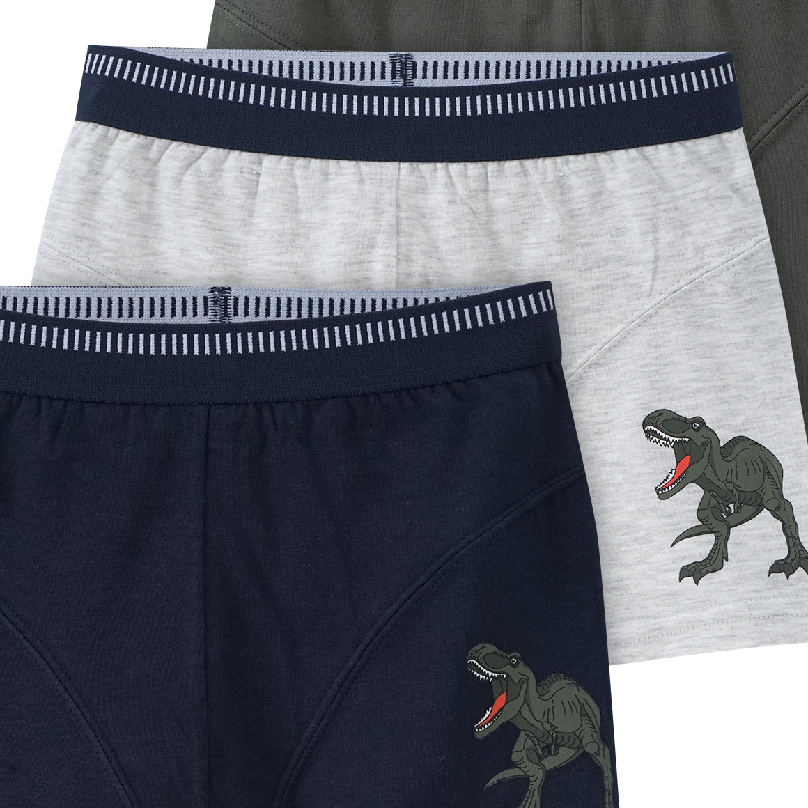 3 Jungen Boxer mit Dino-Motiven