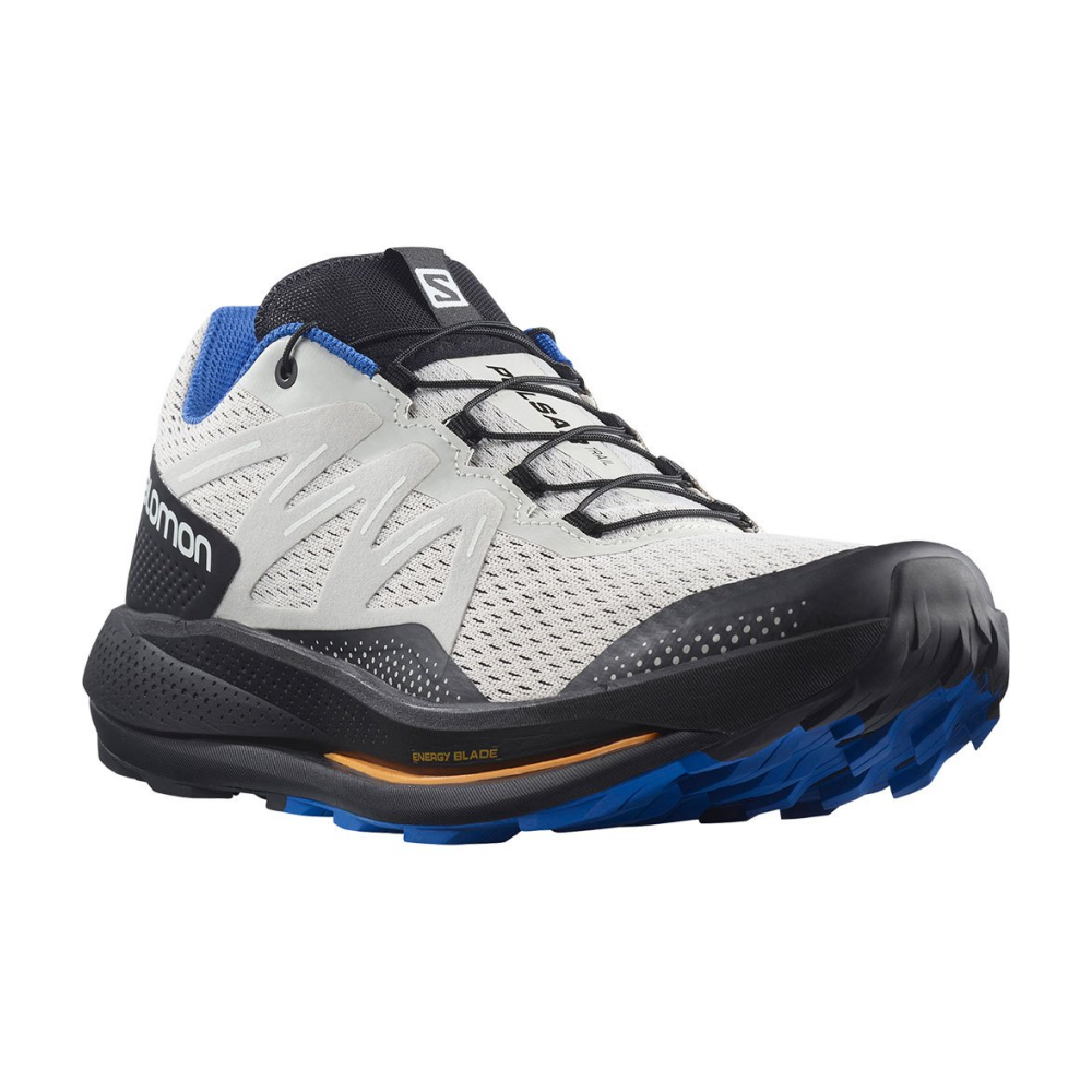 Salomon Pulsar Trail L41602700 / grau