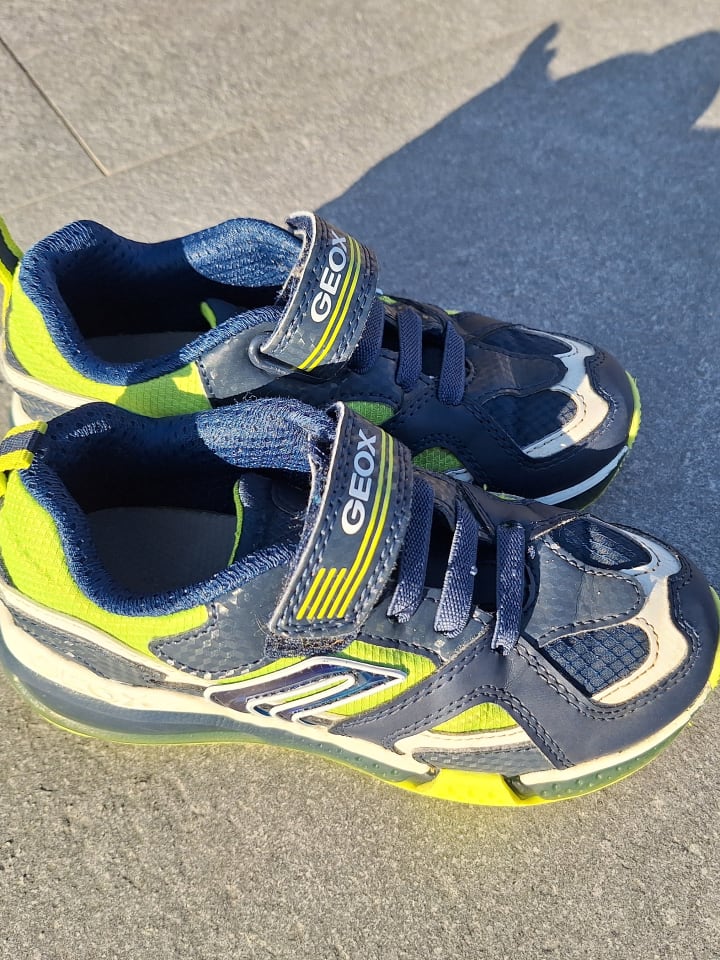Geox Sneakers 
