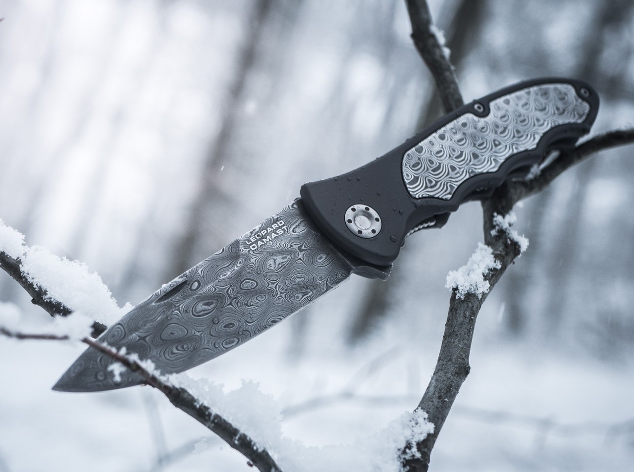 Leopard-Damast III 42 Collection