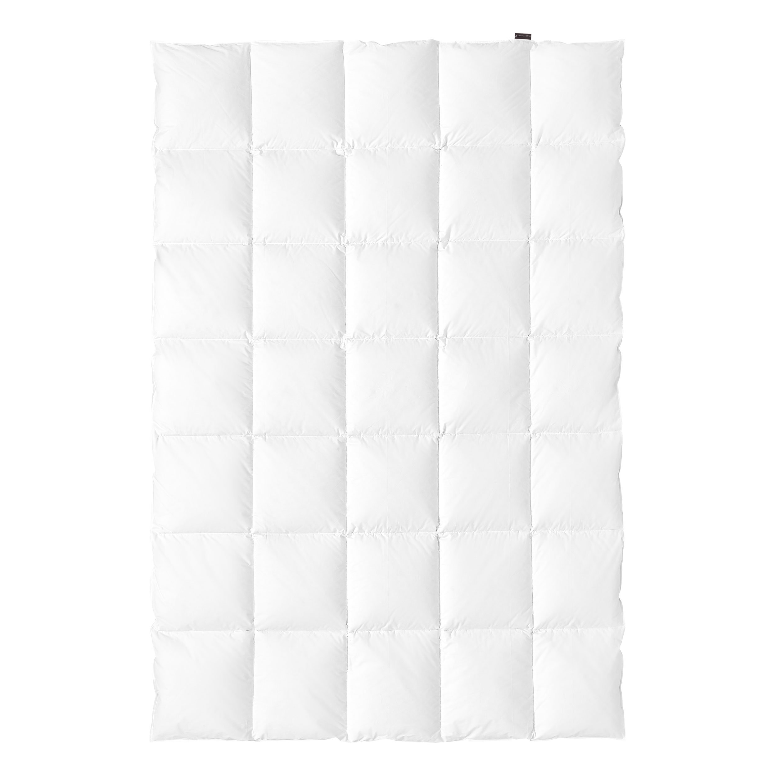 CENTA-STARGanzjahresbett 520g (medium)
