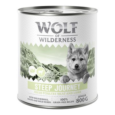 Wolf of Wilderness Junior 6 x 800 g - Mit viel frischem Geflügel