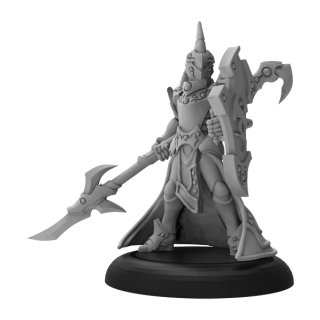 Retribution of Scyrah Solo Fane Knight Guardian