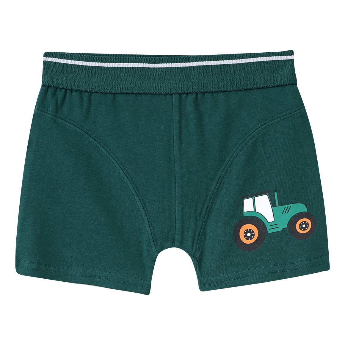 5 Jungen Boxer in verschiedenen Dessins