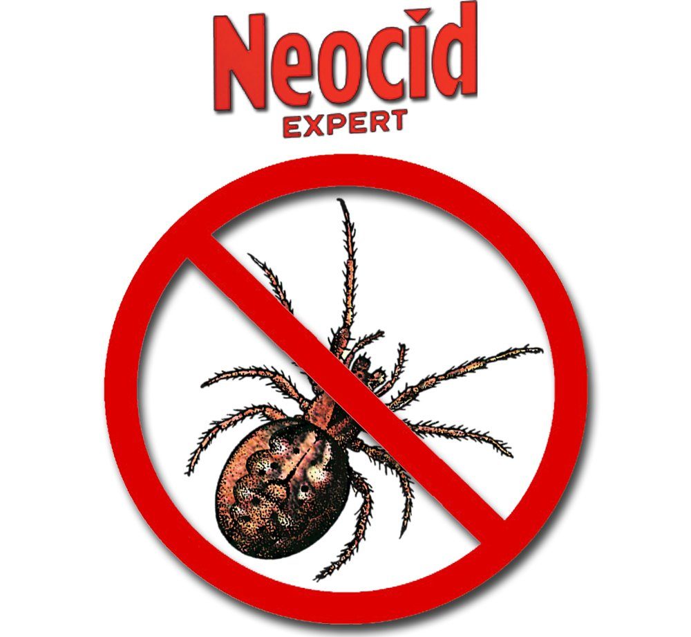 NEOCID Expert Insektenspray Spinnen-Spray Hochwirksam gegen Spinnen, 0.4 l, unmittelbarer Knock-down Effekt