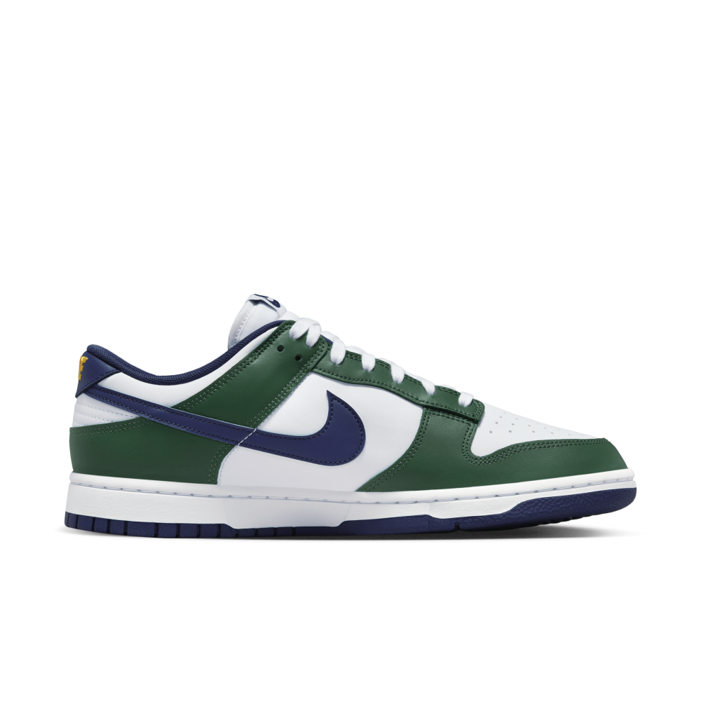 Nike Dunk Low FV6911-300 / blau