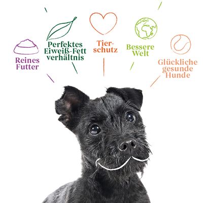 Yarrah Bio vegetarische Multi Hundekekse