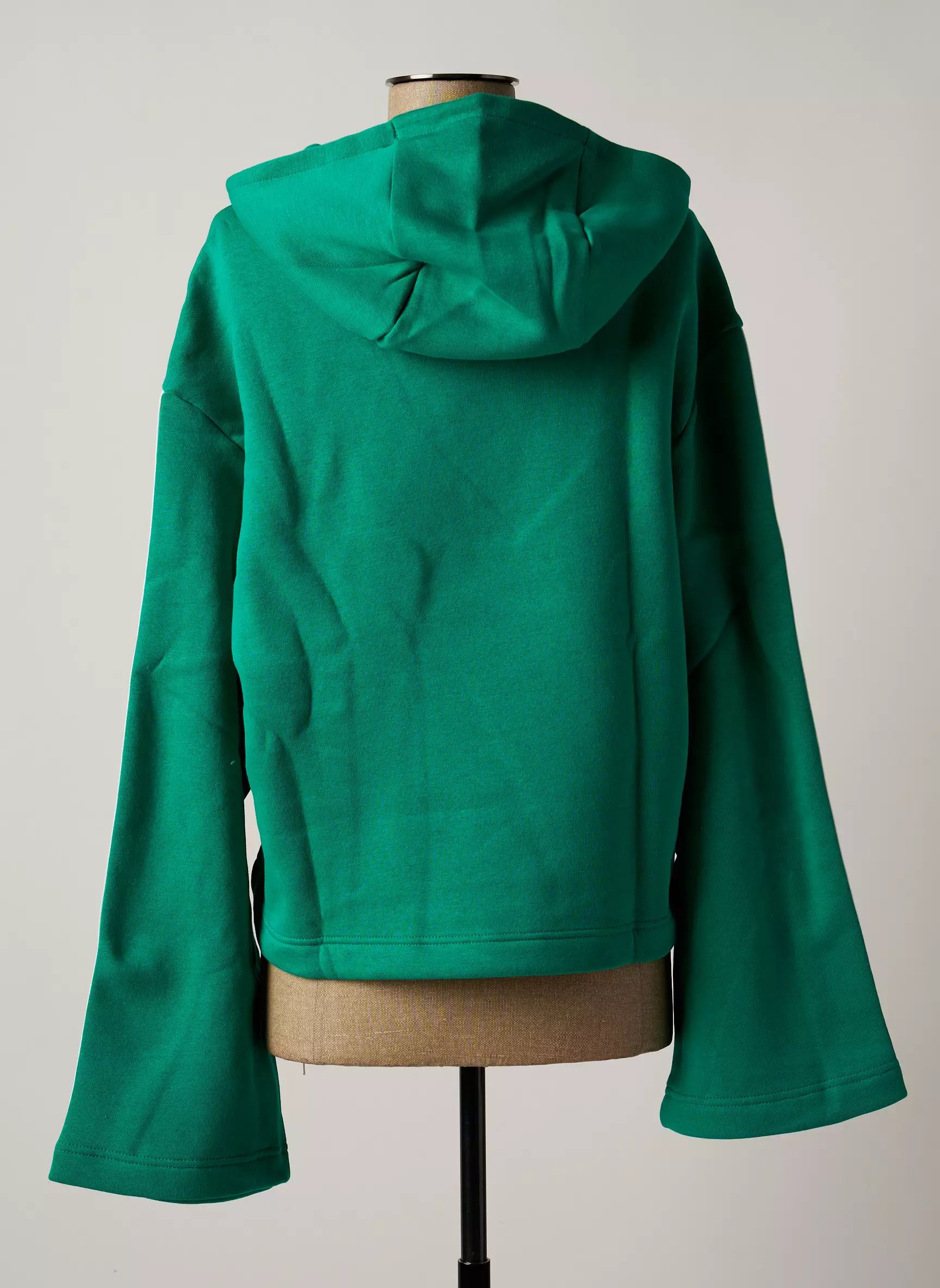 Reebok Sweat Capuche Femme couleur vert