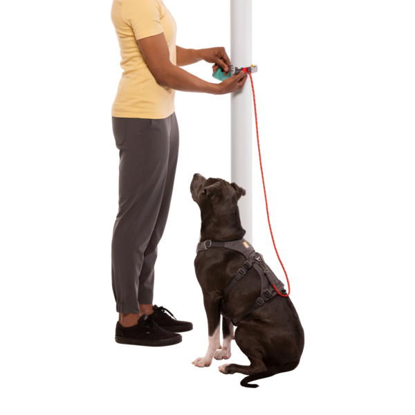 HITCH HIKER LEASH - Hundezubehör