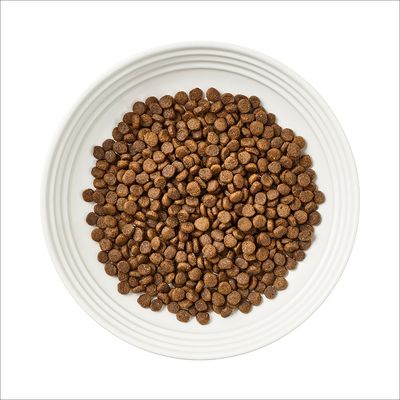Encore Cat Huhn mit Lachs