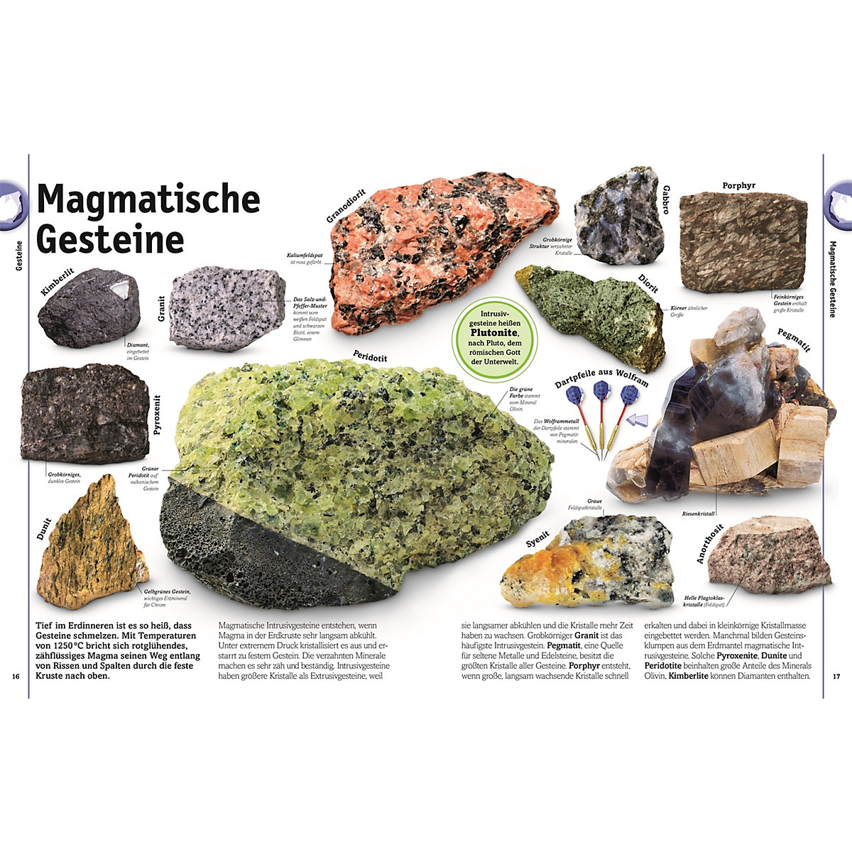 Steine: Minerale, Edelsteine und Fossilien in über 1000 Bildern
