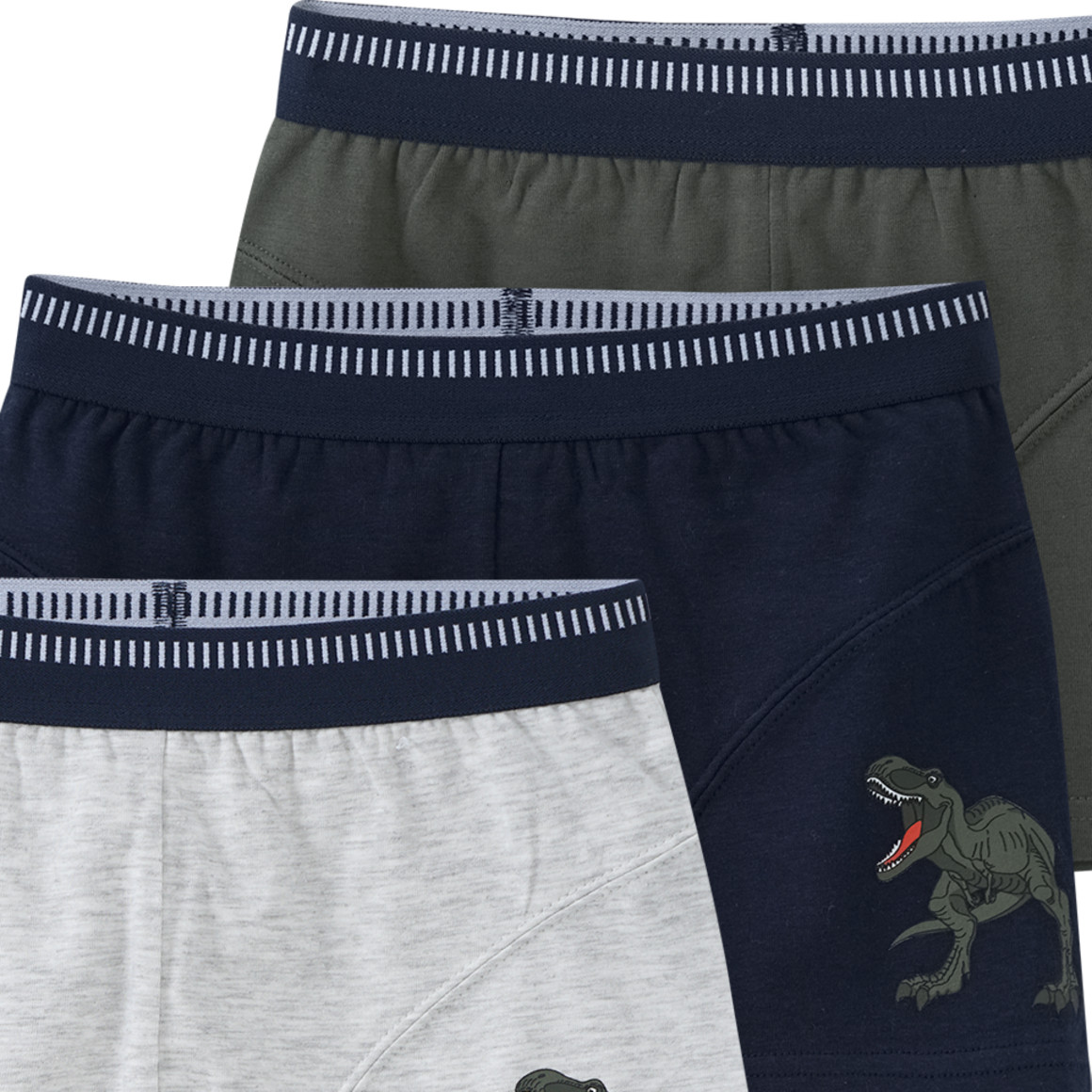 3 Jungen Boxer mit Dino-Motiven