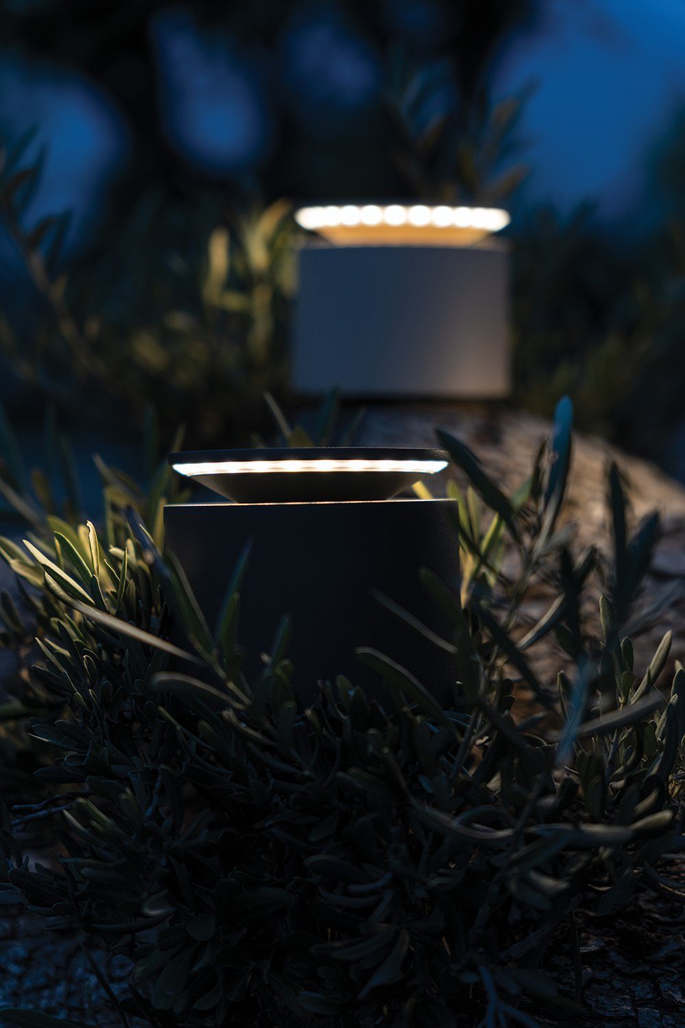 Zafferano LED Tischleuchte Push Up Pro, LED fest integriert, Gemütlich Warmweiß, Warmweiß, Neutralweiß, Druck- und Touchsteuerung