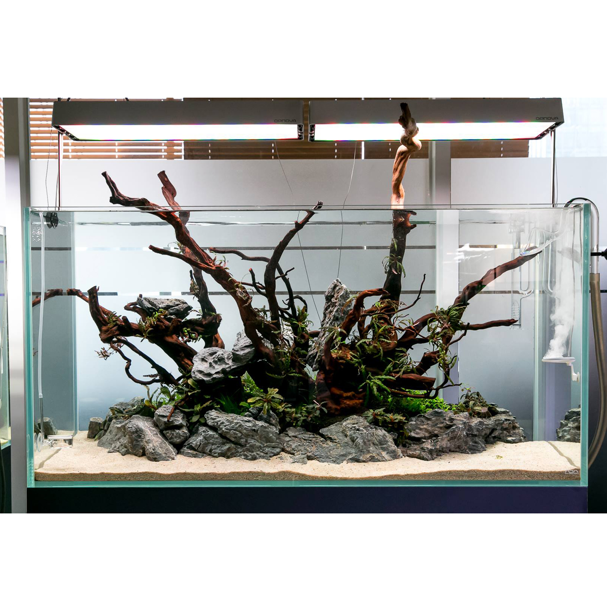 TWINSTAR 2 Aquarium-Sterilisator Nano Plus kaufen