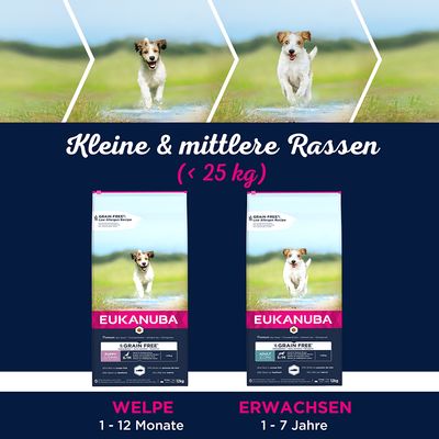 Eukanuba Grain Free Adult Small / Medium Breed mit Lachs