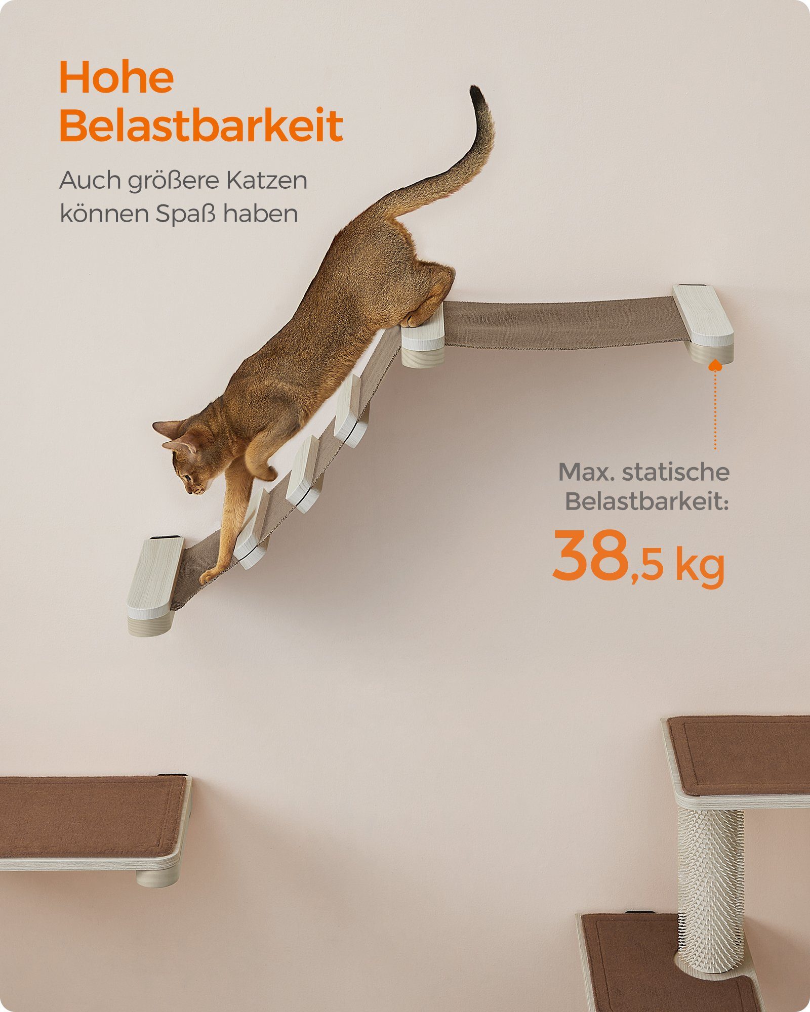 FEANDREA Katzen-Kletterwand, Kratzbaum Clickat Katzen-Kletterhängematte mit Leiter