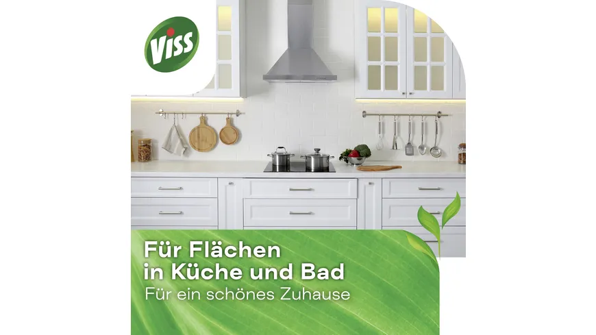 Viss Scheuermilch Citrus 500 ml