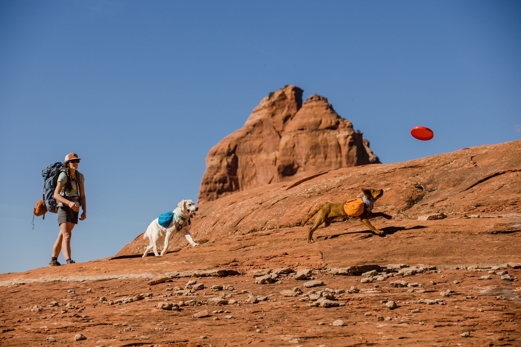 Ruffwear Frisbees & Wurfspielzeug Ruffwear Camp Flyer™ Spielzeug rot