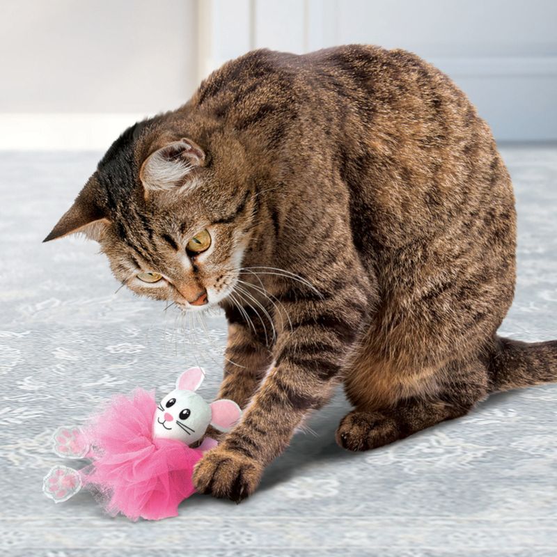 KONG Flingaroo Katzenspielzeug Tutu Assorted