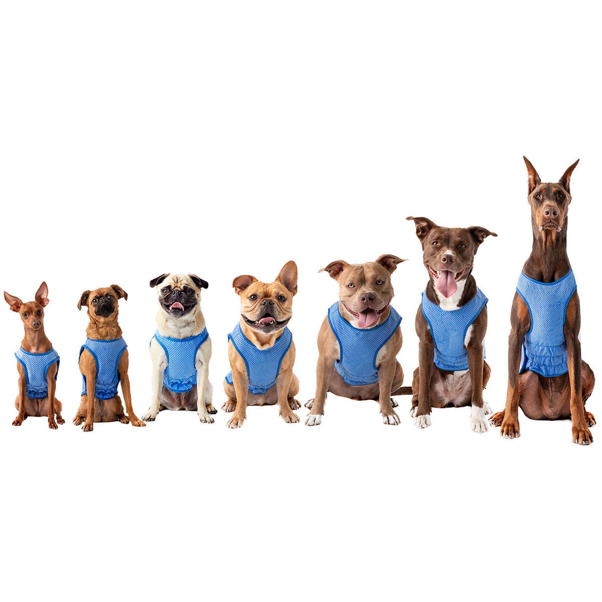 GF Pet ELASTOFIT Kühlweste günstig kaufen bei ZooRoyal