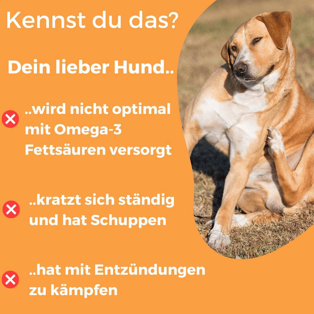 Dog-Native Ergänzungsfutter & Aufzucht Dog-Native Wildfischöl für Hunde aus nachhaltigem Wildfang mit natürlichem Vitamin E, Omega 3 Öl, Fischöl in Glasflasche, kein Lachsöl, 500ml