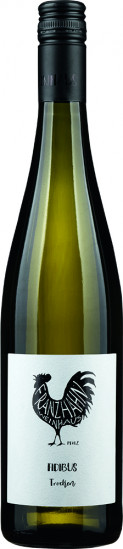 2020 Fidibus Cuvée trocken - Weinhaus Franz Hahn