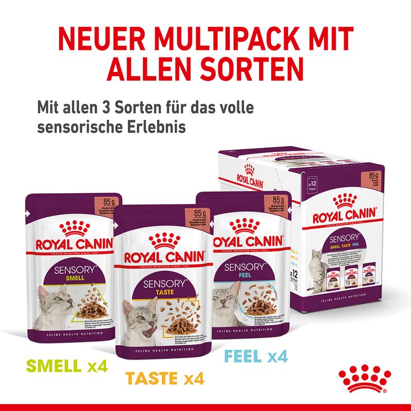 Royal Canin Sensory Smell in Soße zu TOP-Preisen