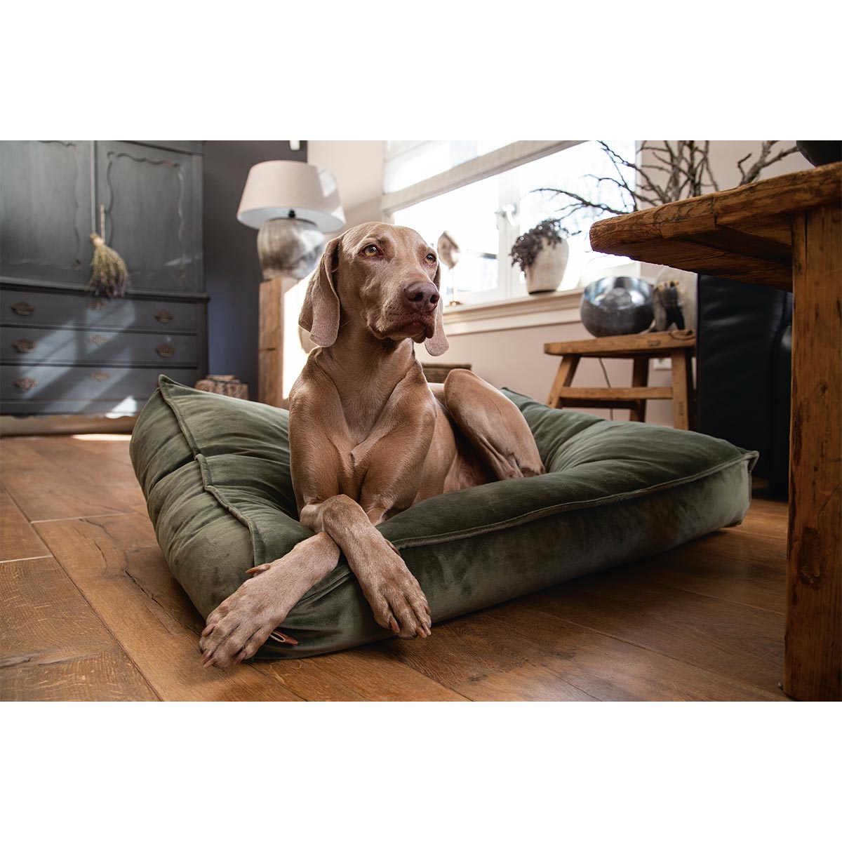 Designed by Lotte Hundekissen Nalino Samt Grün bei ZooRoyal