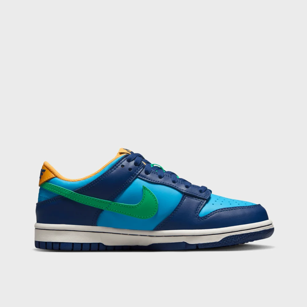 Nike Dunk Low GS DV1693-401 / blau
