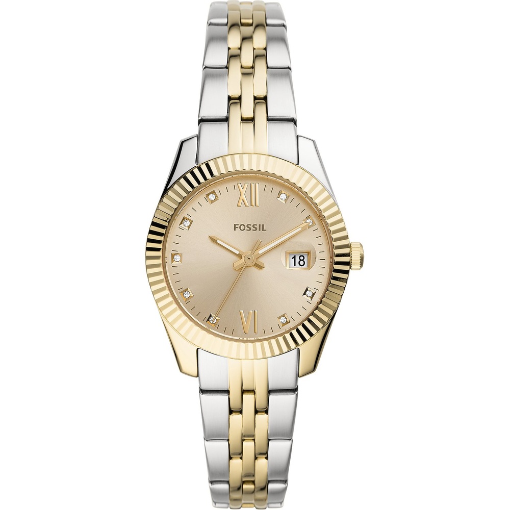 Fossil Montre pour femme Acier inoxydable Montre