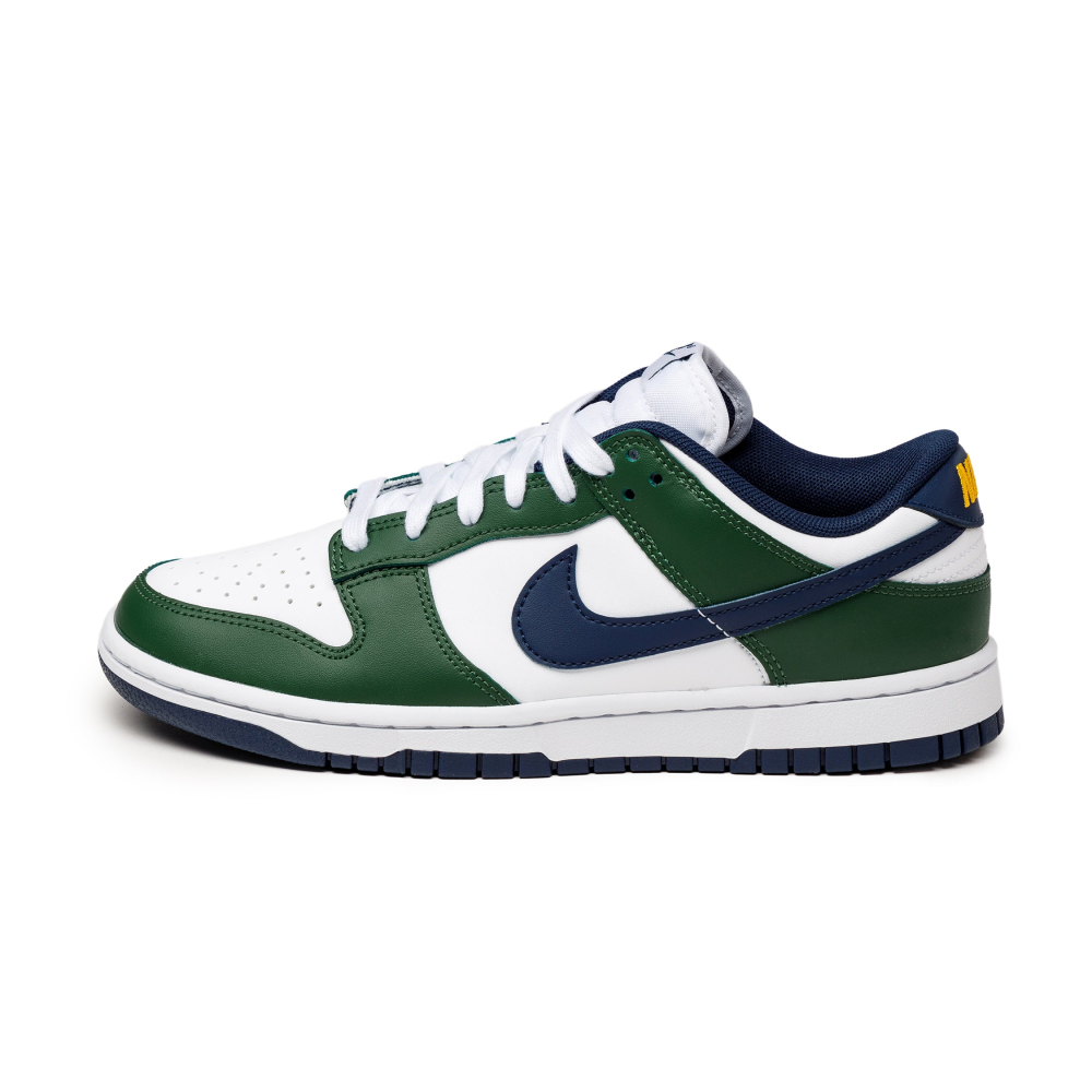 Nike Dunk Low FV6911-300 / blau