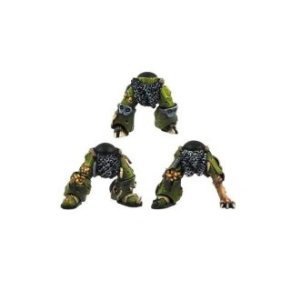 Morbid Legionary Legs (6)