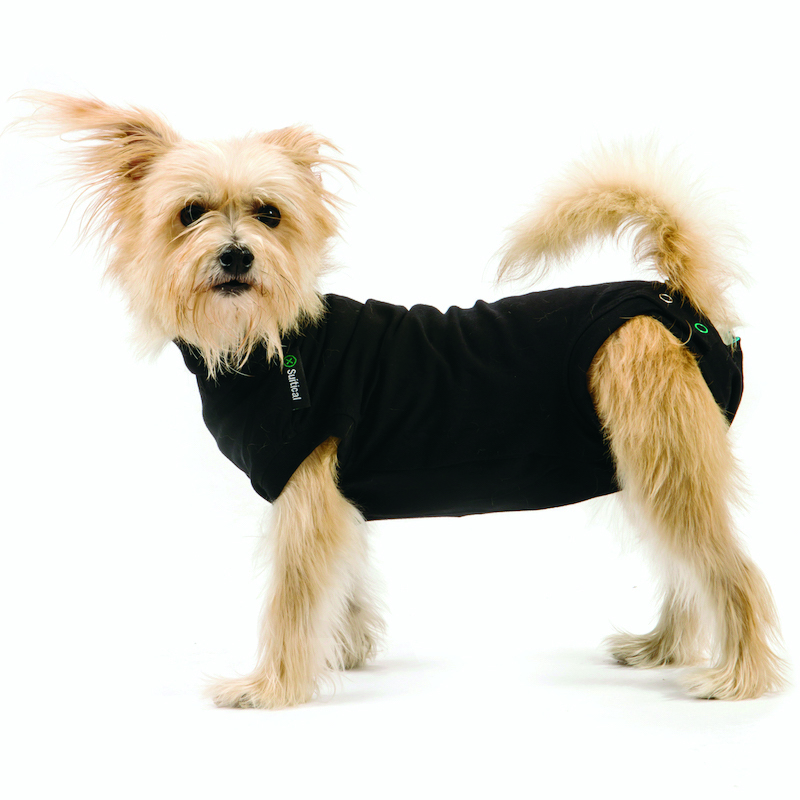 Trovet Hundepullover Trovet Hundebody Recovery Suit schwarz XS