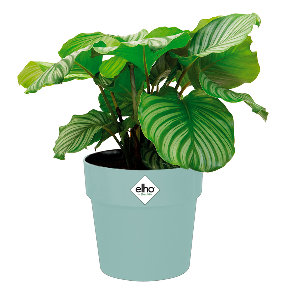 Casaria Deuba® Blumentopf Mint 18x17cm 2,9L