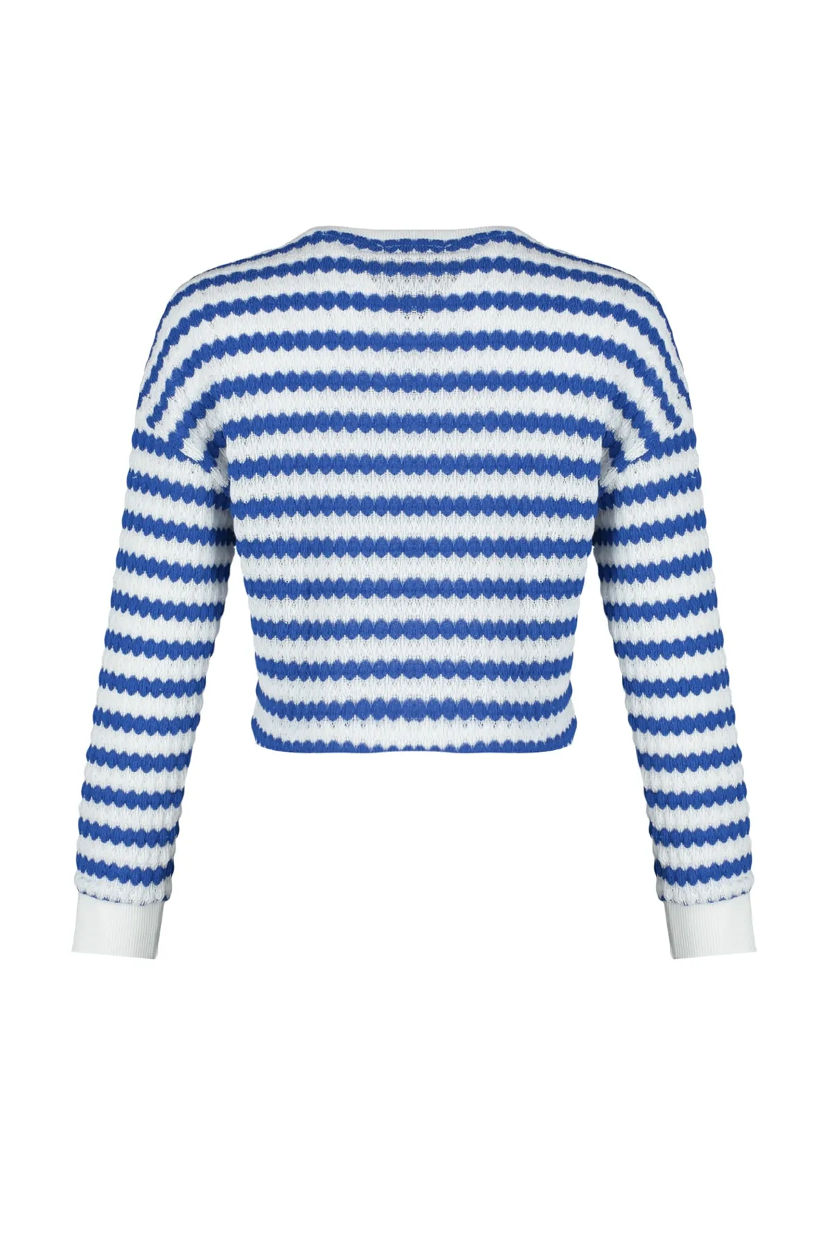 Trendyol Collection  Blau gestreifter Strickpullover TWOAW24KZ00150
