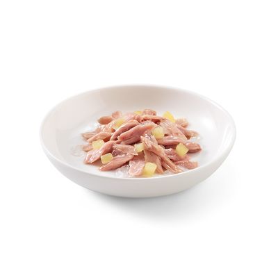 Schesir Fruit 6 x 75 g