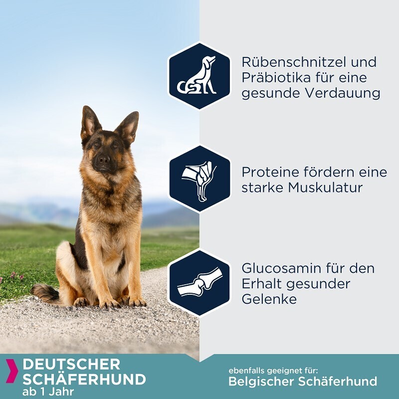 EUKANUBA Hundetrockenfutter EUKANUBA Breed Specific Deutscher Schäferhund 12 kg