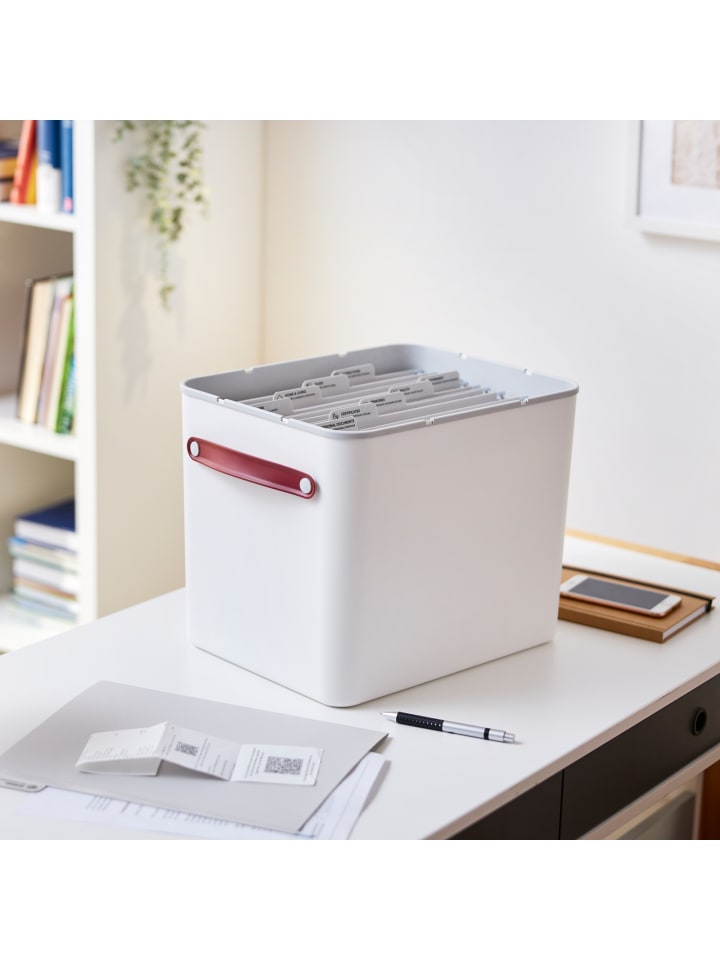 Rotho Archivbox Dokumentenorganizer MY PAPER Plus günstig kaufen onesize
